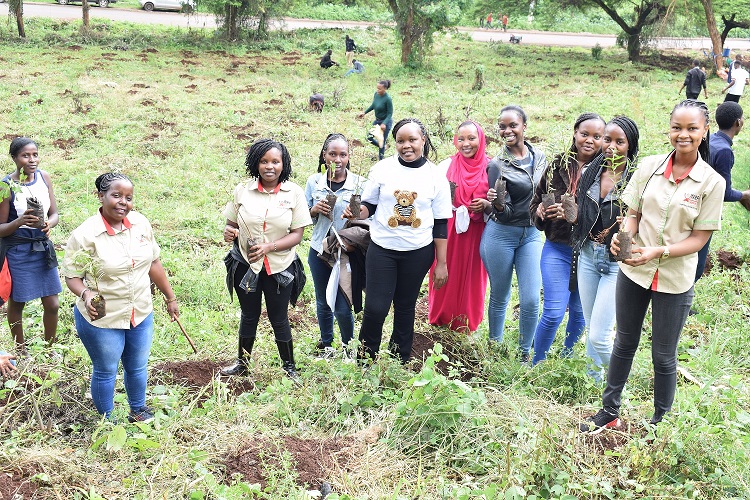 Research Fund Partners with University of Nairobi towards Implementation of Directive on Tree Planting