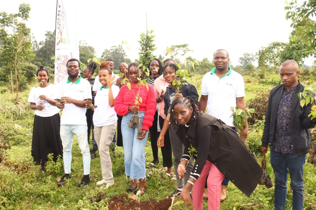 NRF and MMUST Join Hands in Tree Planting Drive at Kakamega Forest NRF and MMUST Join Hands in Tree Planting Drive at Kakamega Forest
